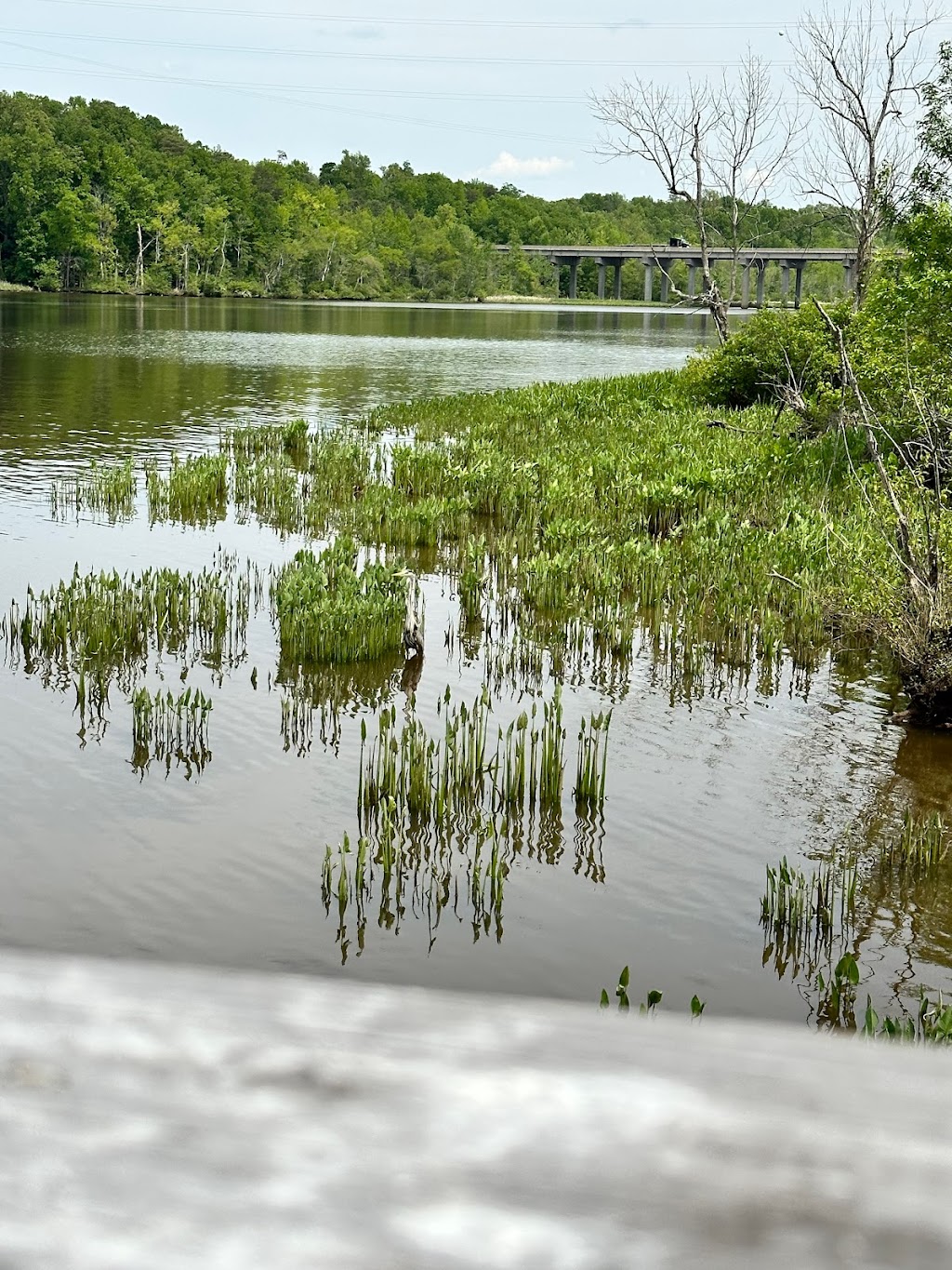 Appomattox River Regional Park | 800 Folar Trail N, N, NORTH PRINCE GEORGE, VA 23860, USA | Phone: (804) 458-6164