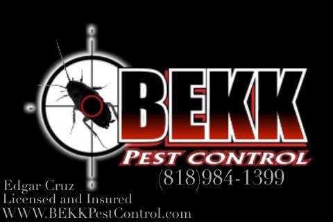 BEKK Pest Control | 6007 Lankershim Blvd, North Hollywood, CA 91606, USA | Phone: (818) 984-1399