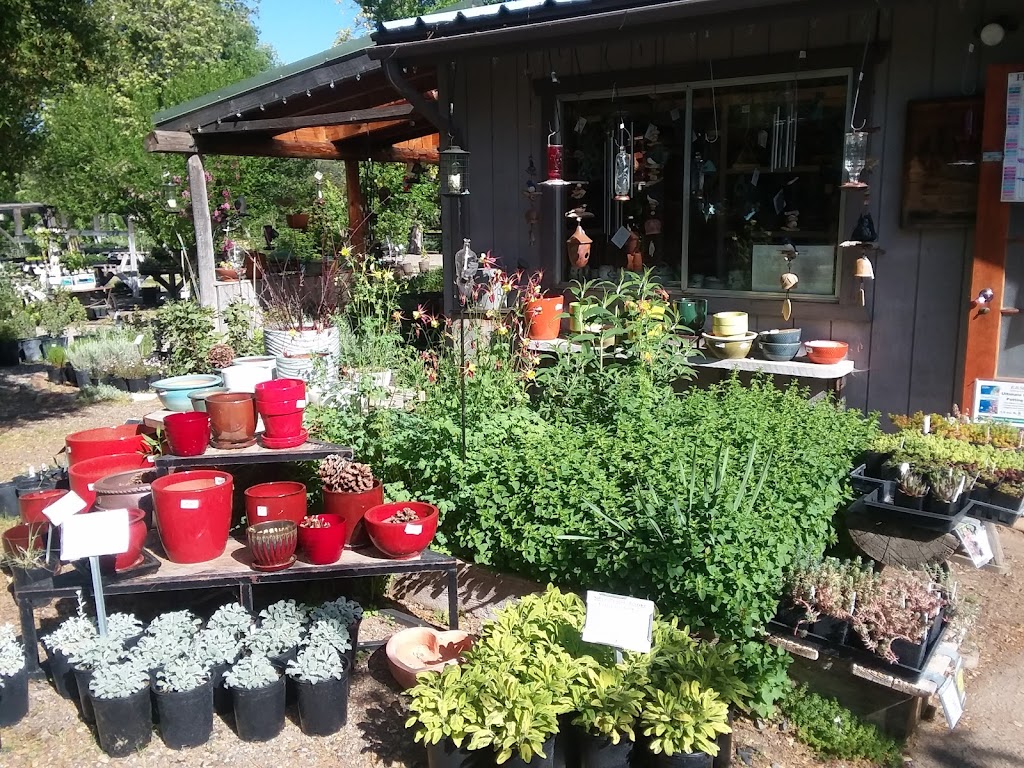 Intermountain Nursery | 30443 Auberry Rd, Prather, CA 93651, USA | Phone: (559) 855-3113