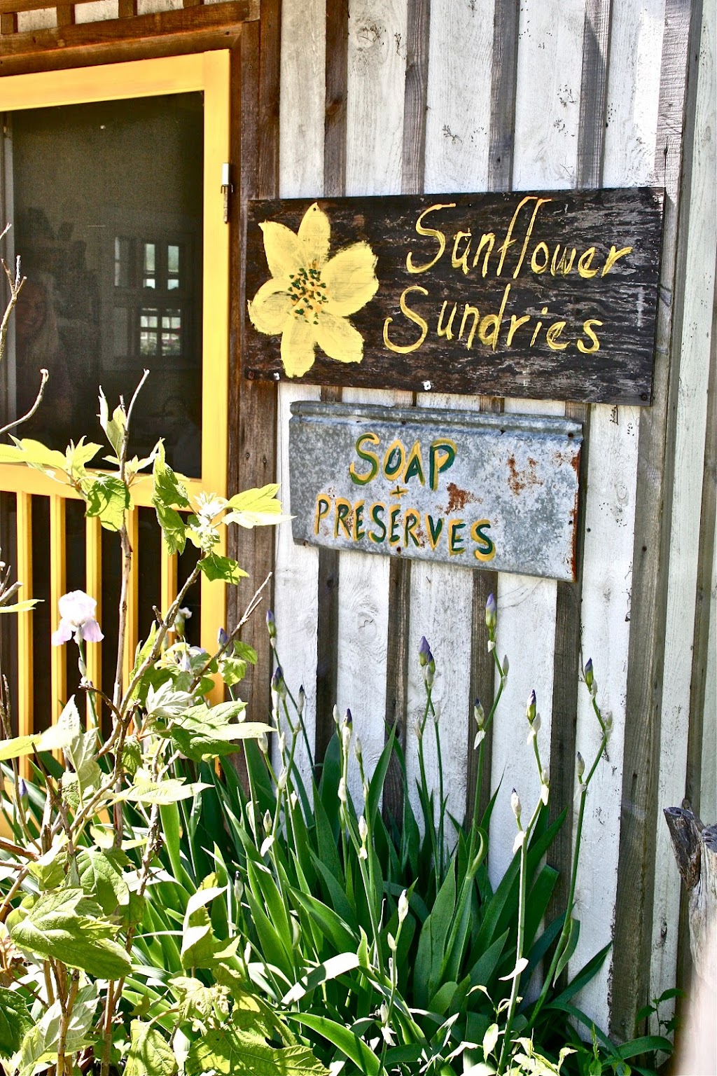 Sunflower Sundries | 434 Dividing Ridge Rd, Mt Olivet, KY 41064, USA | Phone: (606) 763-6827