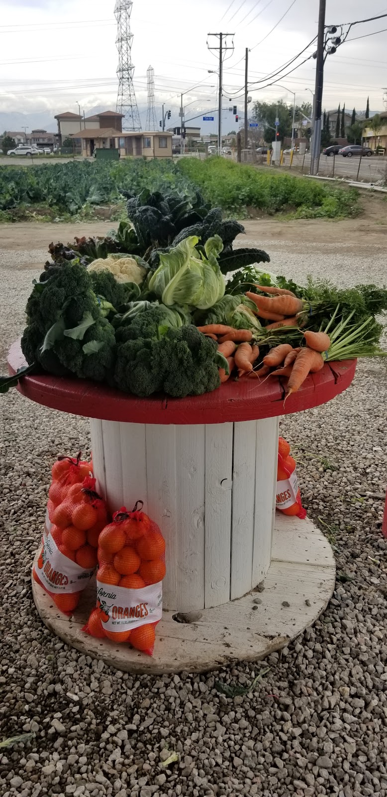 García farms | 16400 Chino Corona Rd, Chino, CA 91708, USA | Phone: (909) 235-1392