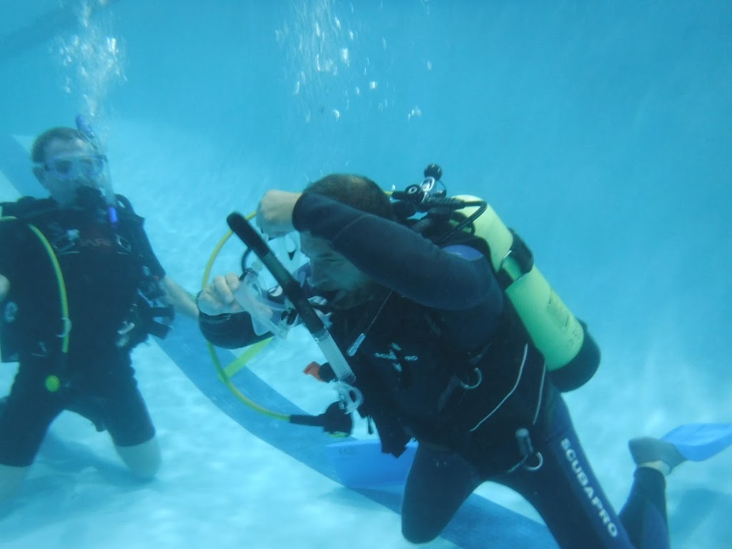 Dutchess Scuba Diving | 1164 NY-9G #3, Hyde Park, NY 12538, USA | Phone: (845) 444-9015