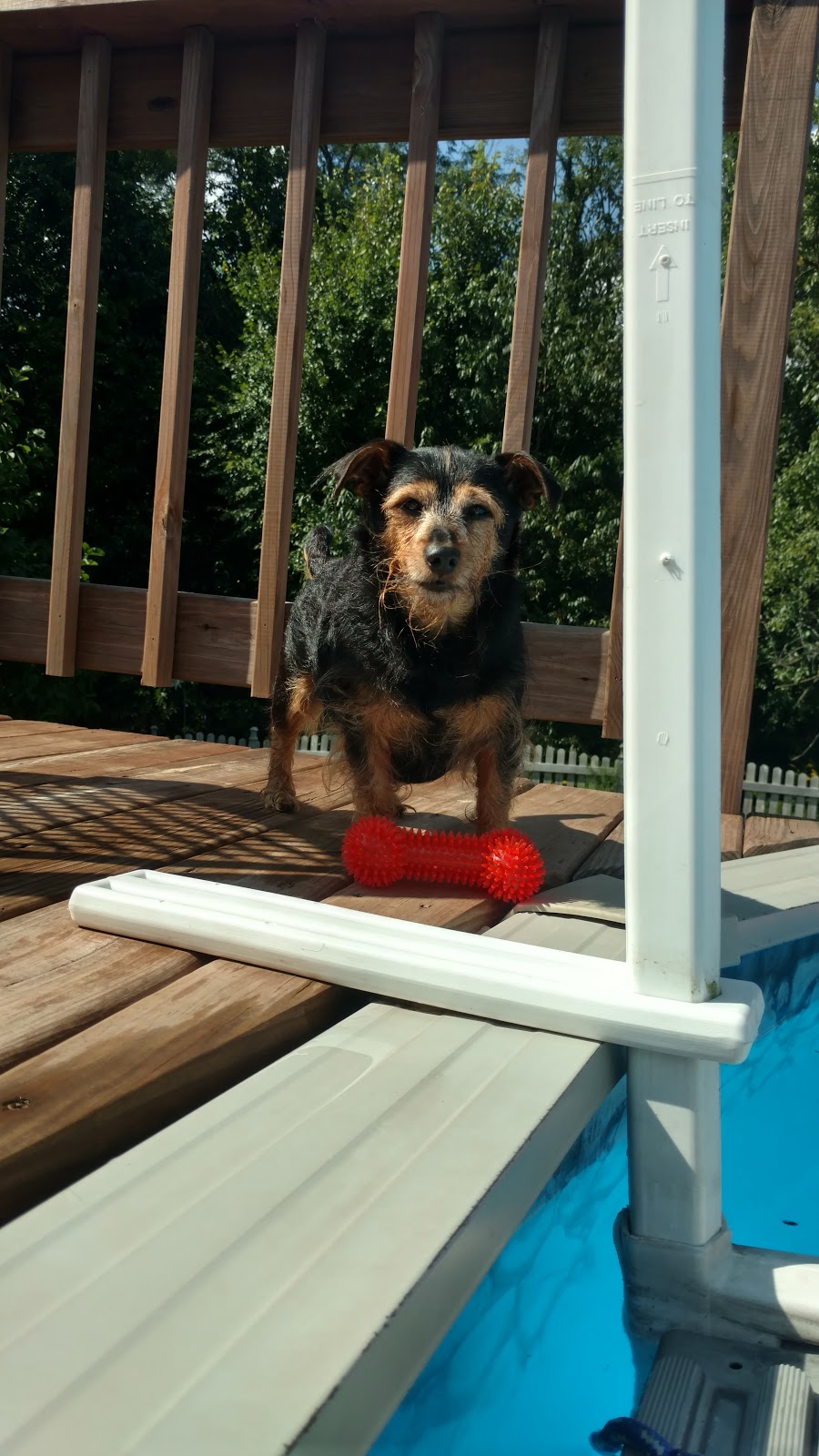 Saunders Parking Systems | 5045 County Rd 15, Marengo, OH 43334, USA | Phone: (614) 267-1945