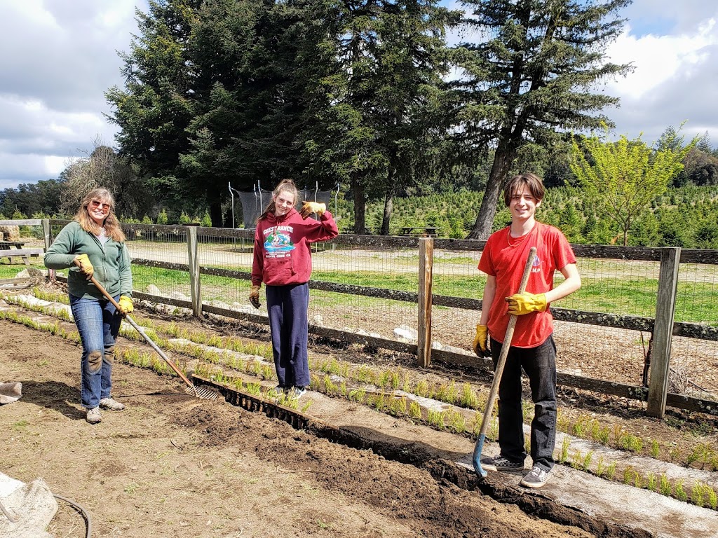 Crest Ranch Choose and Cut Christmas Tree Farm | 12200 Empire Grade, Santa Cruz, CA 95060, USA | Phone: (831) 423-8733