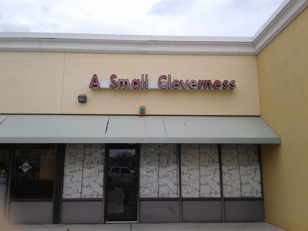 A Small Cleverness | 868 Blanding Blvd #107, Orange Park, FL 32065, USA | Phone: (904) 272-0503