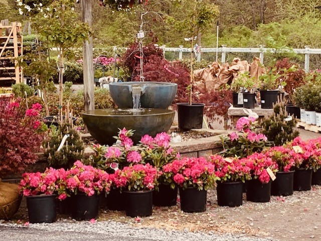 Best Feeds Garden Centers | 1410 Wildwood Rd, Gibsonia, PA 15044, USA | Phone: (412) 487-5802