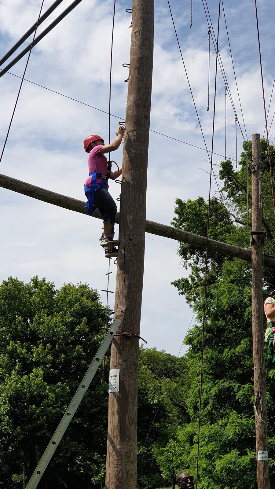 Alley Pond Adventure Course | Alley Pond Park, Oakland Gardens, NY 11364, USA | Phone: (718) 217-4685