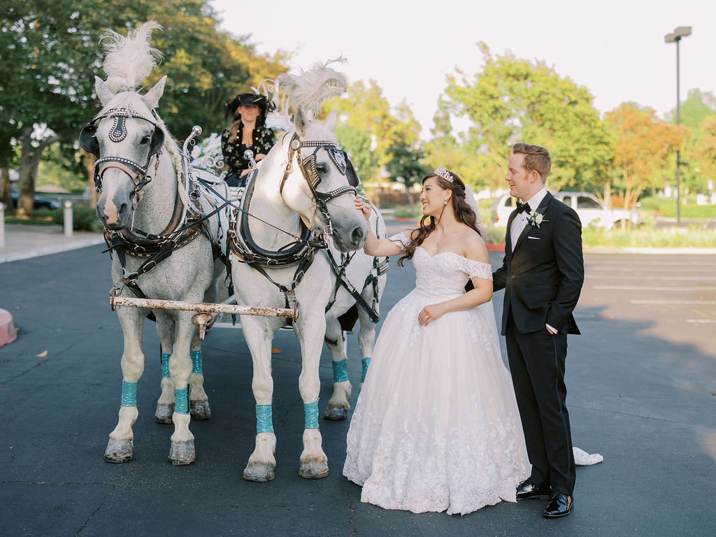 Cindy Cinderella Carriages | 5665 46th St, Riverside, CA 92509, USA | Phone: (951) 529-5269