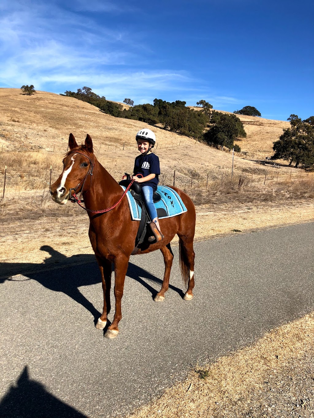 Blue Banner Riding Academy | 11590 New Ave, Gilroy, CA 95020, USA | Phone: (408) 417-9053