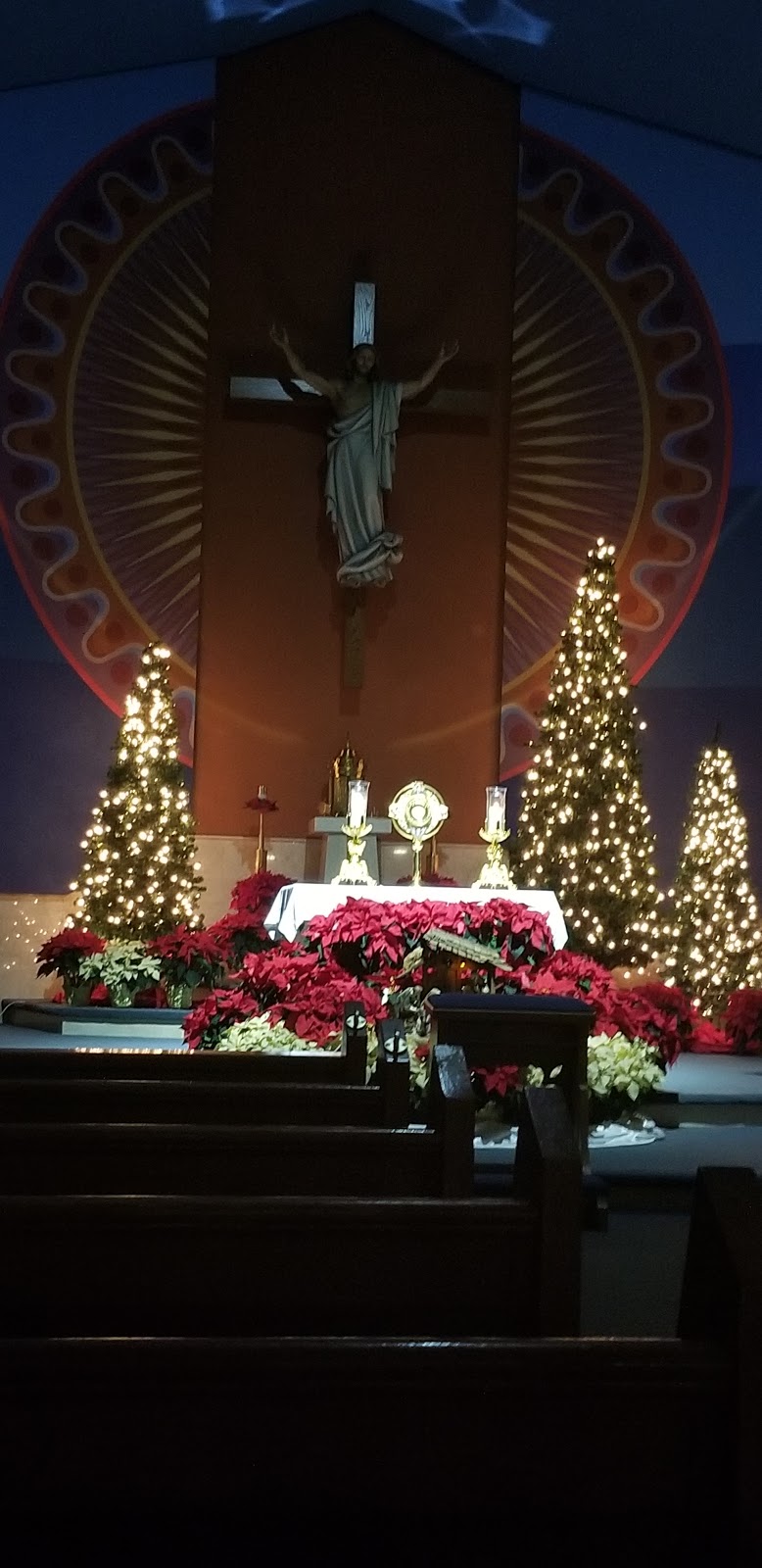 Our Lady of Peace Roman Catholic Parish | 1000 3rd Ave, Conway, PA 15027, USA | Phone: (724) 869-3024