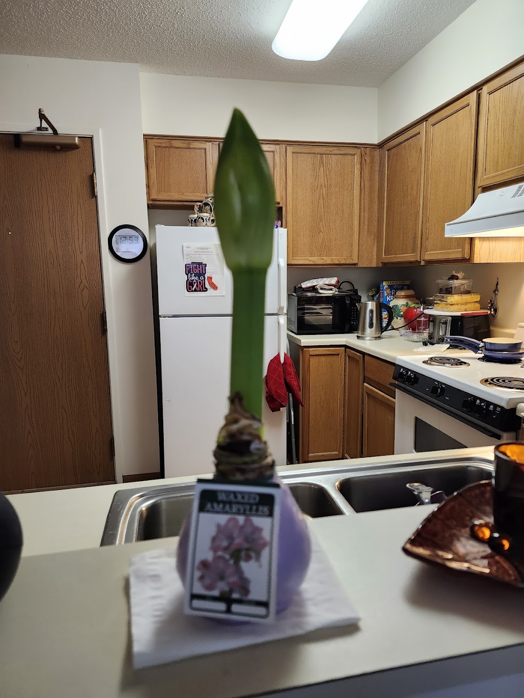 Chotikorn Khunnawat, MD | 715 E Western Reserve Rd 2nd Floor, Poland, OH 44514, USA | Phone: (330) 726-3204