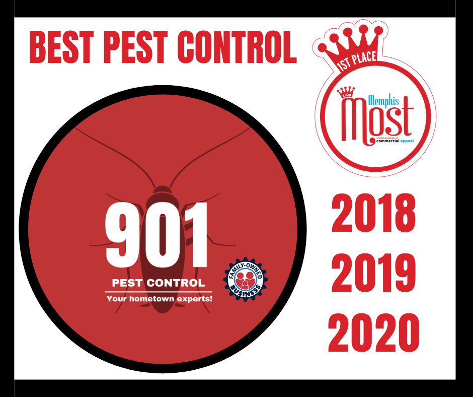 901 Pest Control - MS Office | 2170 Hwy 51 S #4, Hernando, MS 38632, USA | Phone: (662) 446-2124