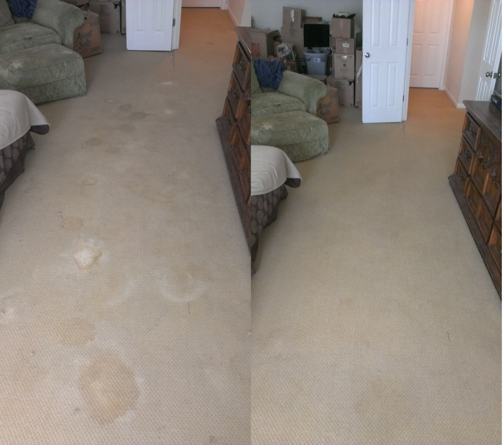 Citrus Carpet Cleaning Dacula | 682 River Cove Ct NE, Dacula, GA 30019 | Phone: (470) 252-2307