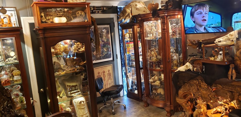 401 Tattoo and Antiquities | 706 N Main St, Fuquay-Varina, NC 27526, USA | Phone: (919) 762-0475