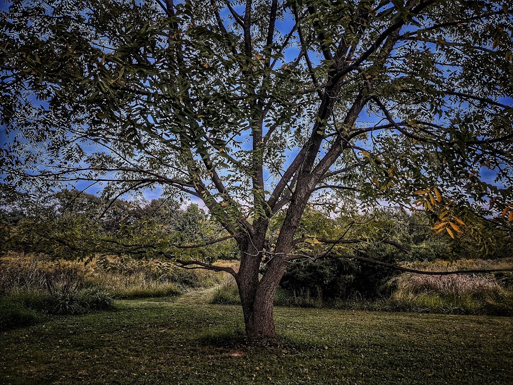 Washington Grove Conservation Park | 105 Ridge Rd, Rockville, MD 20855, USA | Phone: (301) 495-2595