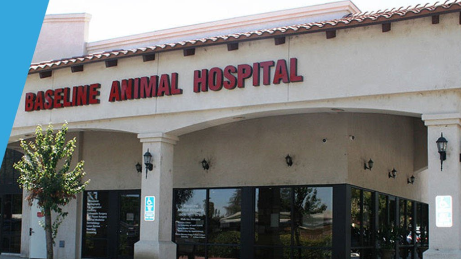 Baseline Animal Hospital | 9760 Base Line Rd 100 100, Rancho Cucamonga, CA 91701, USA | Phone: (909) 493-6095