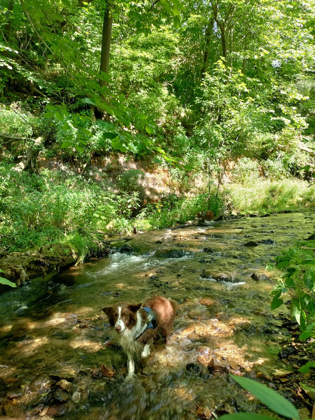 Wilke Glen and Cascade Falls | 101 N Cascade St, Osceola, WI 54020, USA | Phone: (715) 755-3300