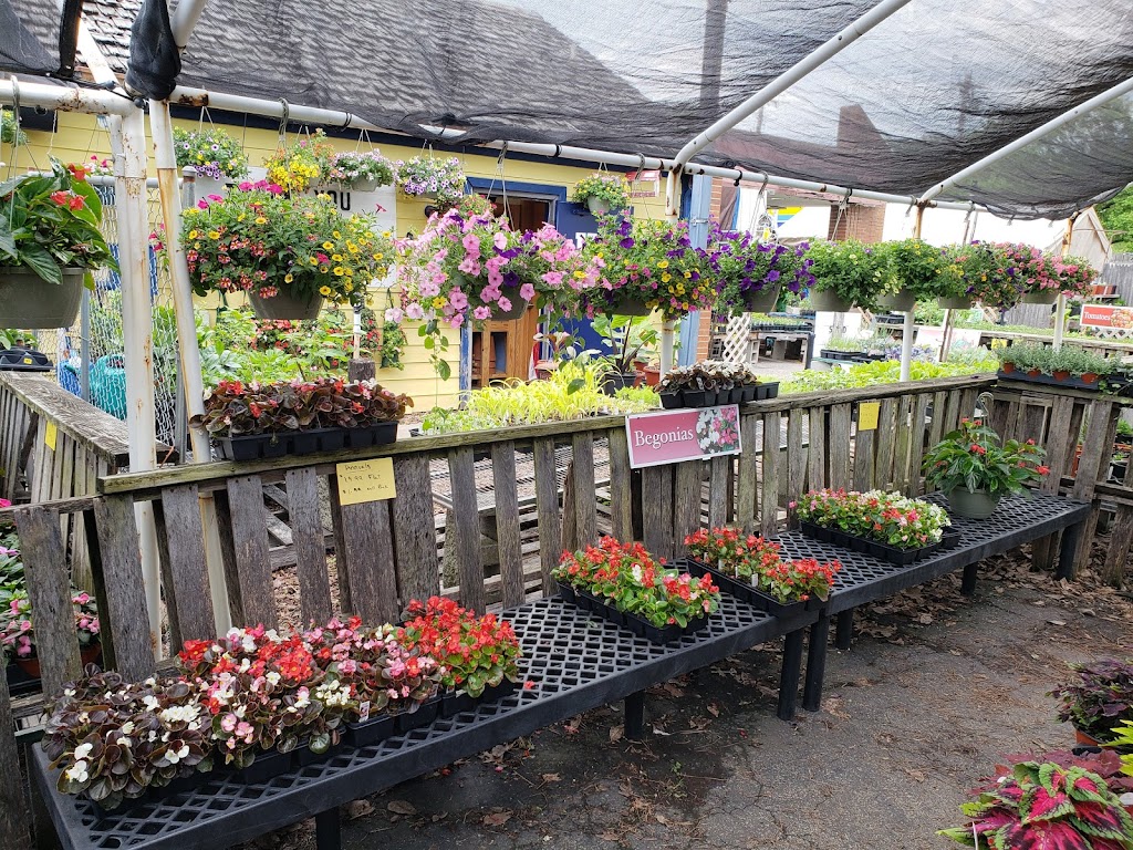 Uncle Bills Garden Center | 8642 Winton Rd, Cincinnati, OH 45231, USA | Phone: (513) 522-4438