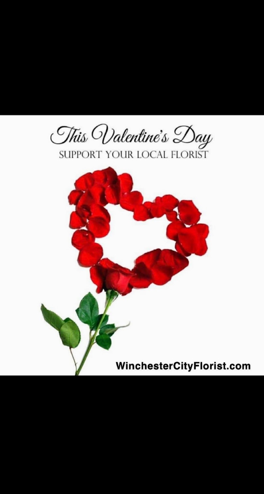 Winchester City Florist | 30688 Benton Rd Suite B100, Winchester, CA 92596, USA | Phone: (951) 301-0114