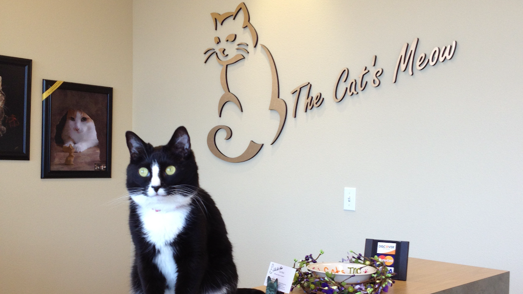 The Cats Meow Cat Clinic | 19743 OR-213, Oregon City, OR 97045, USA | Phone: (503) 518-6369