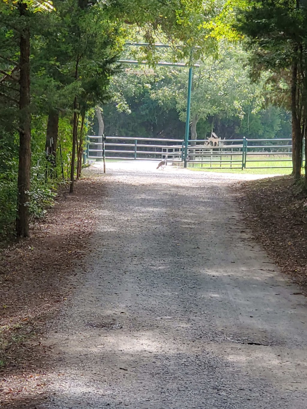 MIMOSA VALLEY RV PARK (Gated - by appointment only) | 204 Private Rd 2179, Decatur, TX 76234, USA | Phone: (940) 627-7288