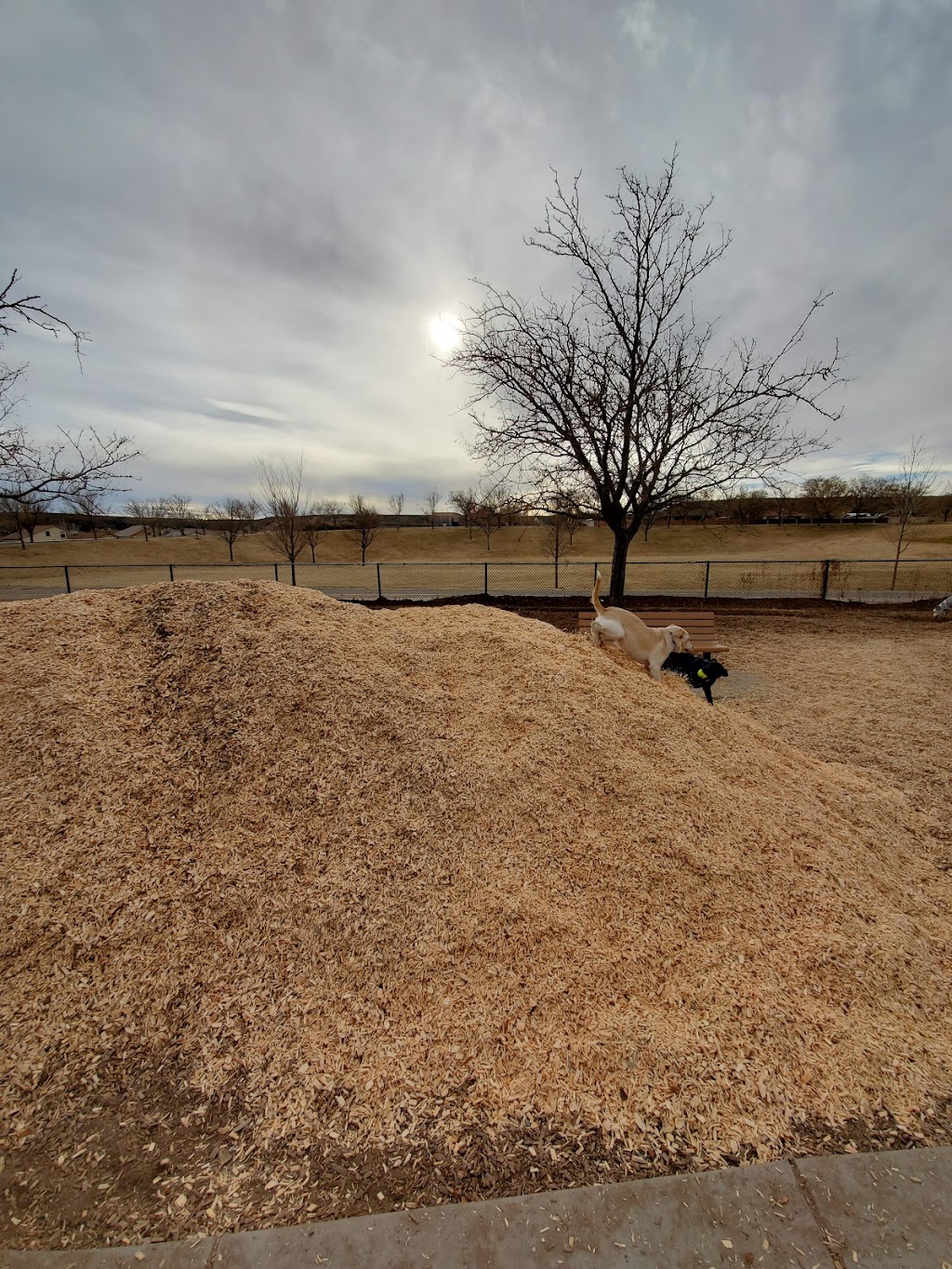 Santa Fe Village Dog Park | 5700 Bogart St NW, Albuquerque, NM 87120, USA | Phone: (505) 768-5353