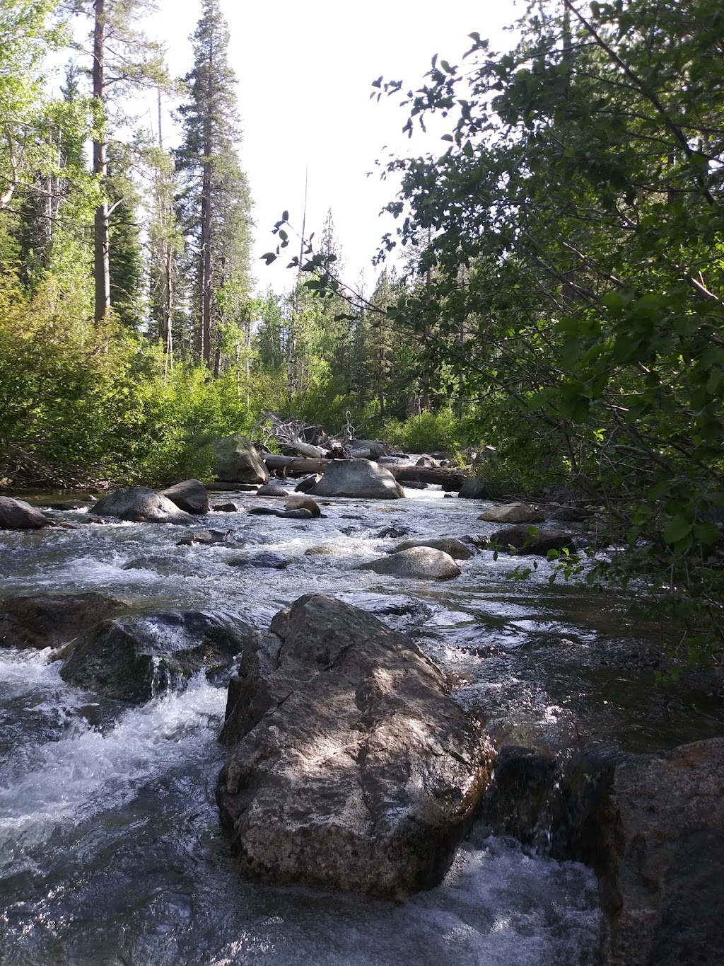 Creek Campground | Truckee, CA 96161, USA | Phone: (530) 582-7892