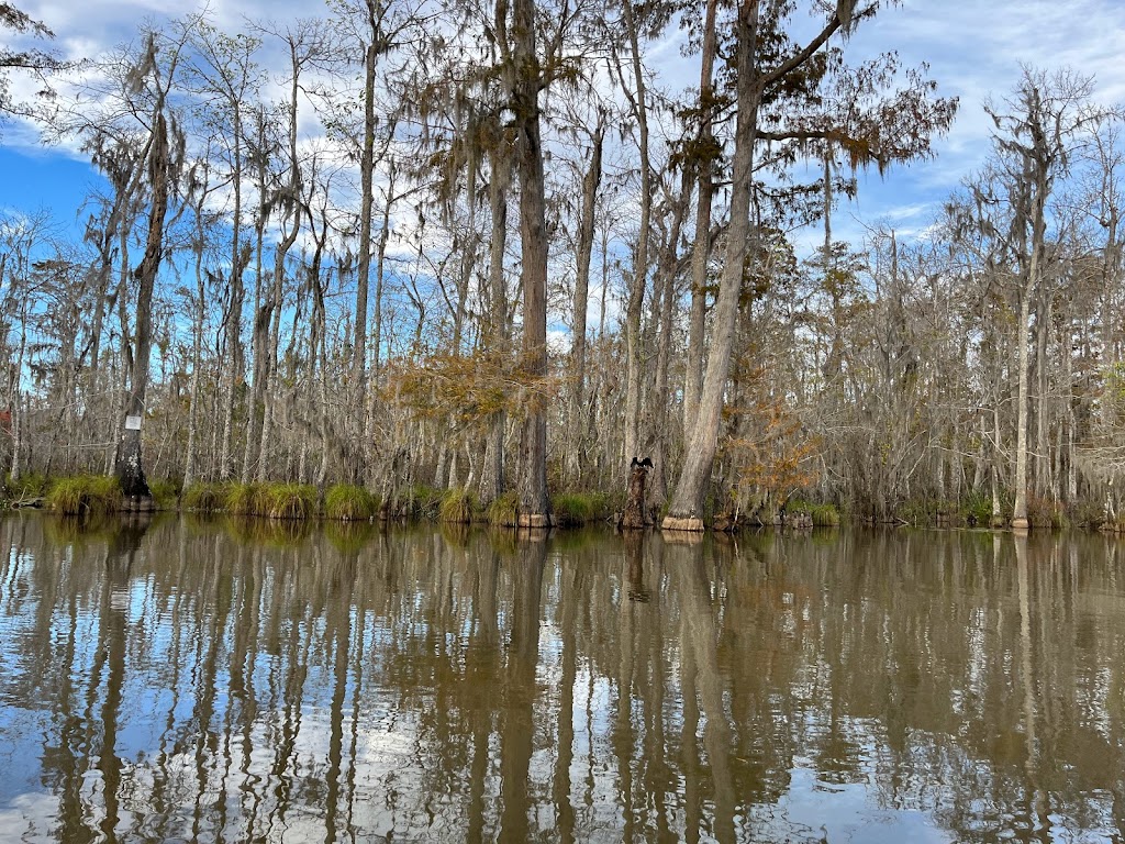 Pearl River Wildlife Management Area | Slidell, LA 70461, USA | Phone: (985) 543-4777