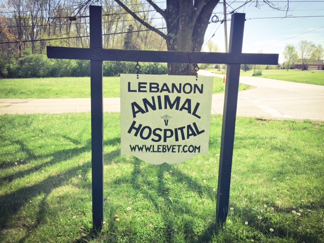 Lebanon Animal Hospital | 3938 Wilmington Rd, Lebanon, OH 45036, USA | Phone: (513) 932-3952