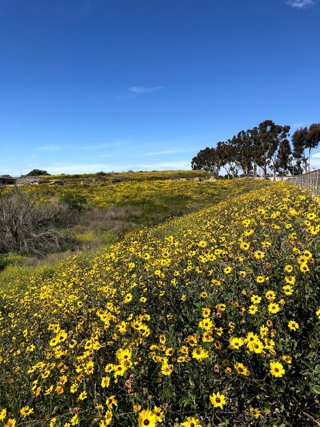 Peter and Mary Muth Interpretive Center (main entrance) | 2301 University Dr, Newport Beach, CA 92660, USA | Phone: (949) 923-2290