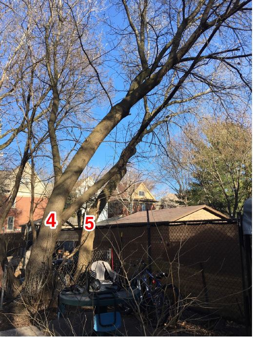 Keren Properties, LLC | 5135 N Hollywood Ave, Milwaukee, WI 53217, USA | Phone: (414) 332-1105