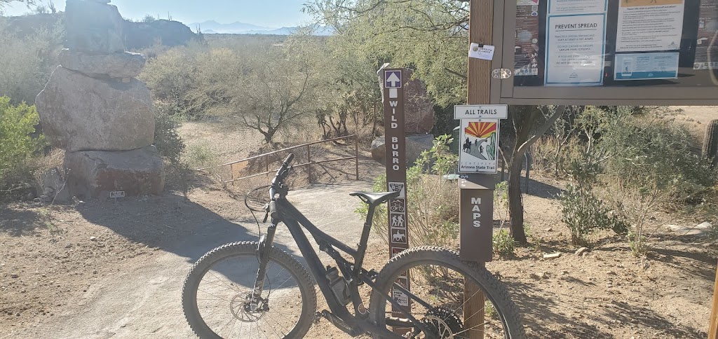 Wild Burro Trailhead | 14810 N Secret Springs Dr, Marana, AZ 85658, USA | Phone: (520) 382-1950