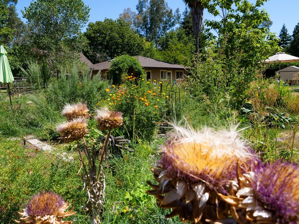 Lotus Garden Meditation Center | 9739-B, Fair Oaks Blvd, Fair Oaks, CA 95628 | Phone: (916) 944-8505