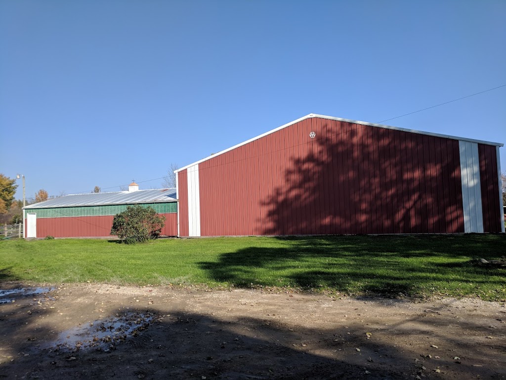 New Beginnings Farm | 28949 31 Mile Rd, Lenox, MI 48050, USA | Phone: (248) 767-0402