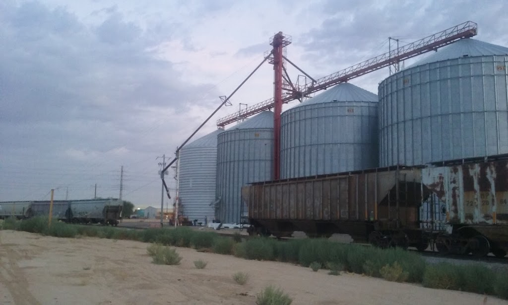 Barkley Seed Inc. | 4323 S Sarival Ave, Goodyear, AZ 85338, USA | Phone: (623) 932-4090