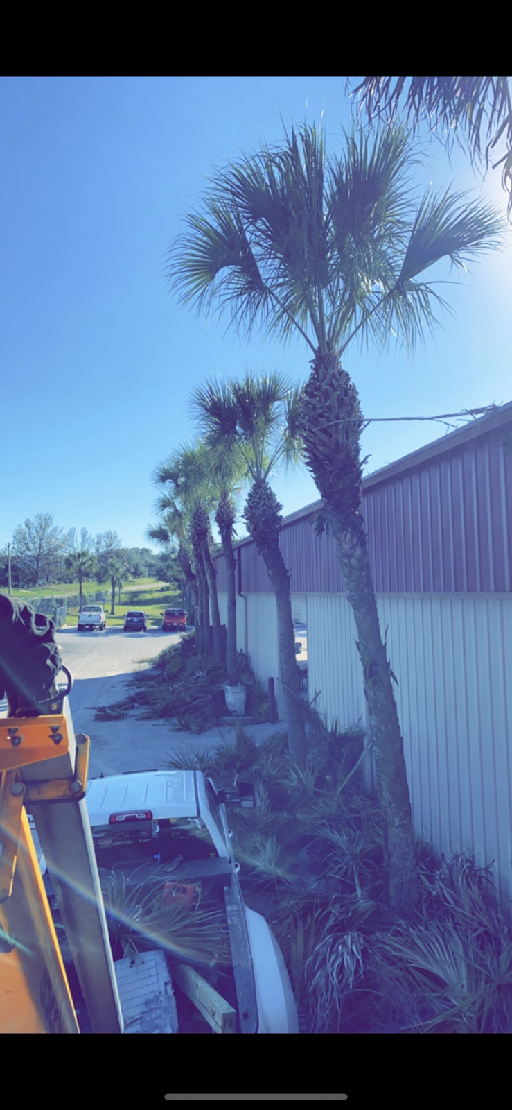 BC Tree Service & Landscaping | 5612 FL-48, Okahumpka, FL 34762, USA | Phone: (352) 409-5955