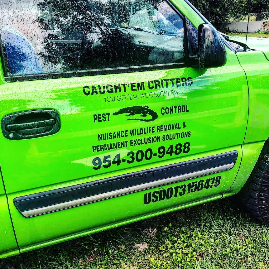 Caughtem Critters | 3900 SW 2nd Ct # A, Fort Lauderdale, FL 33312, USA | Phone: (954) 300-9488