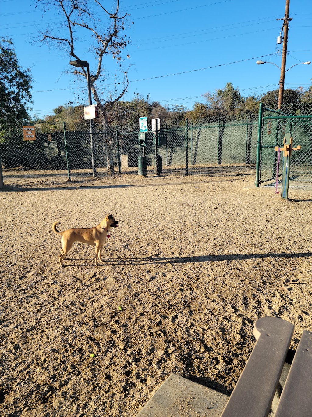 South Pawsadena Dog Park | 650 Stoney Dr, South Pasadena, CA 91030, USA | Phone: (626) 403-7380
