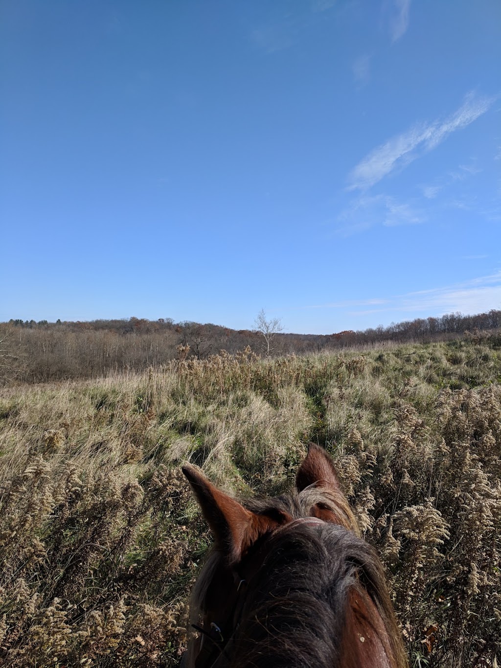 Sugarcreek MetroPark Horse Trailer Parking | 7700 Wilmington Pike, Sugarcreek Township, OH 45305, USA | Phone: (937) 275-7275