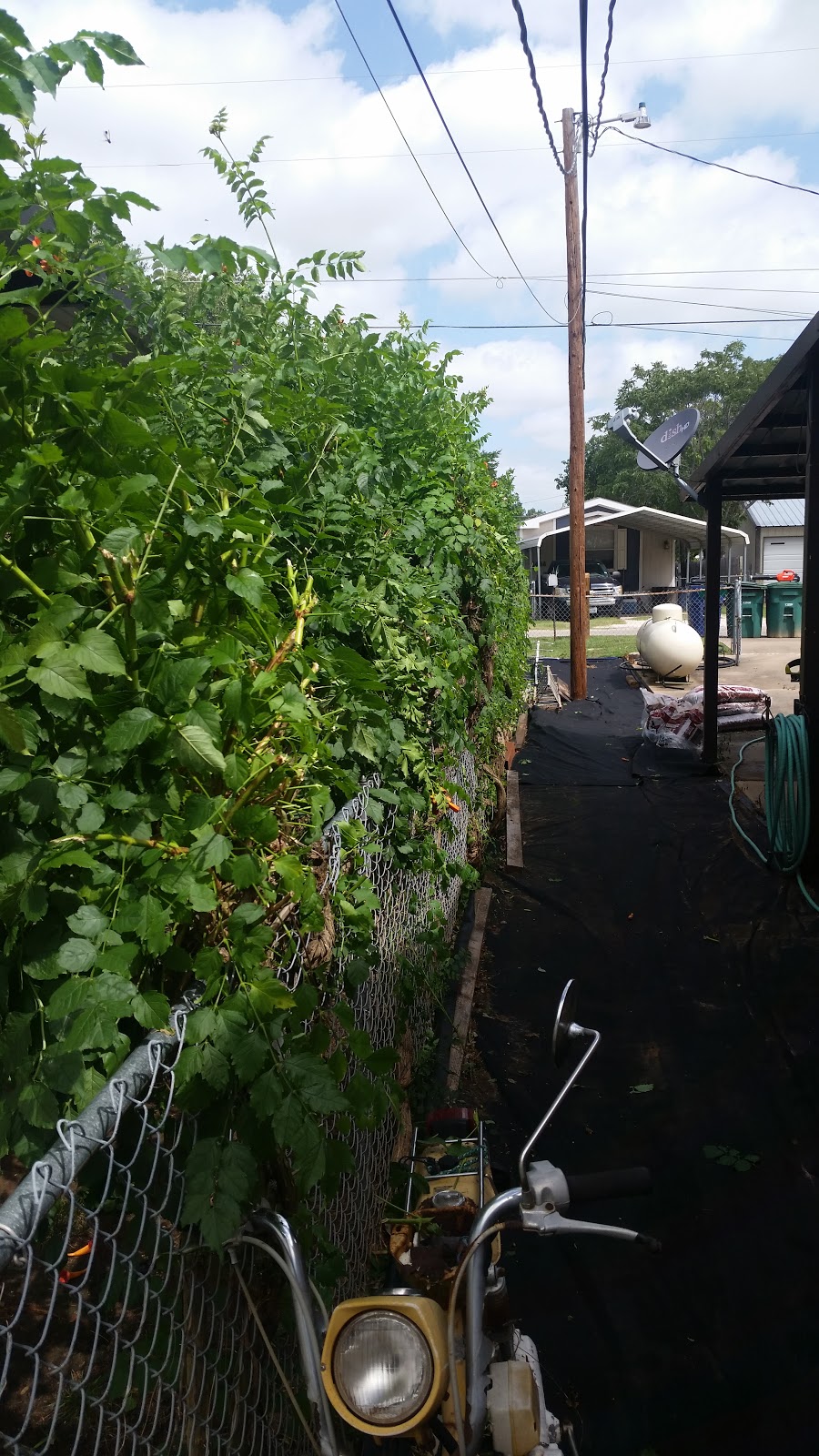 Lake Lawn Equipment | 3600 E US Hwy 377, Granbury, TX 76049, USA | Phone: (817) 578-8801