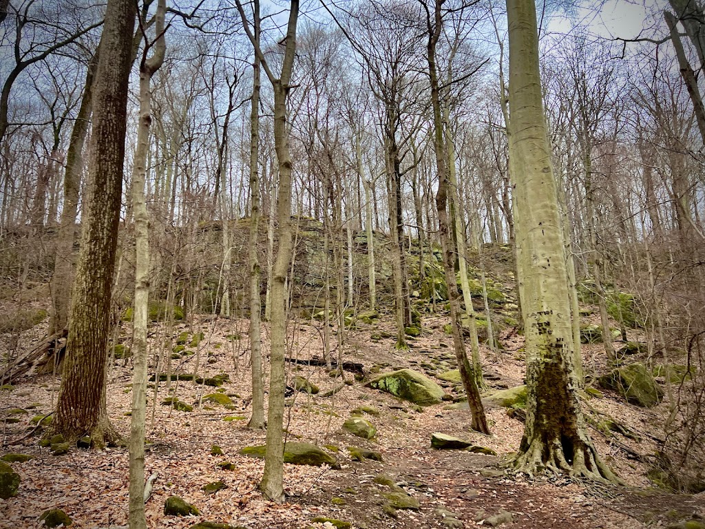 Whipps Ledges | Hinckley Lake Loop Trail, Hinckley, OH 44233, USA | Phone: (330) 278-2160