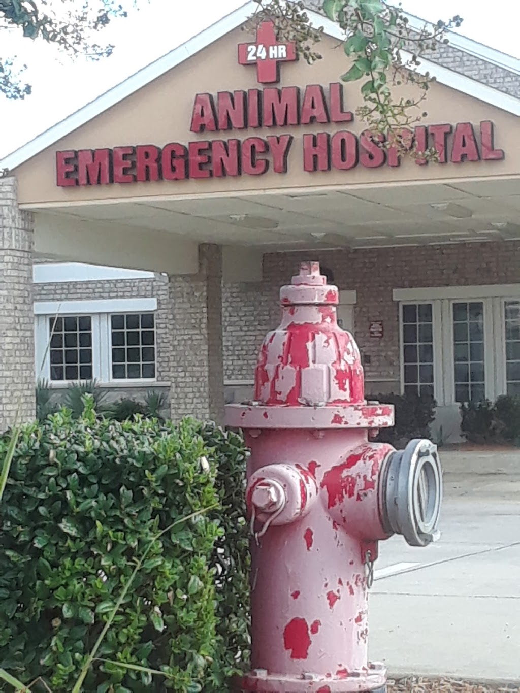 Airport Freeway Animal Emergency Hospital | 833 W Airport Fwy, Euless, TX 76040, USA | Phone: (817) 571-2088