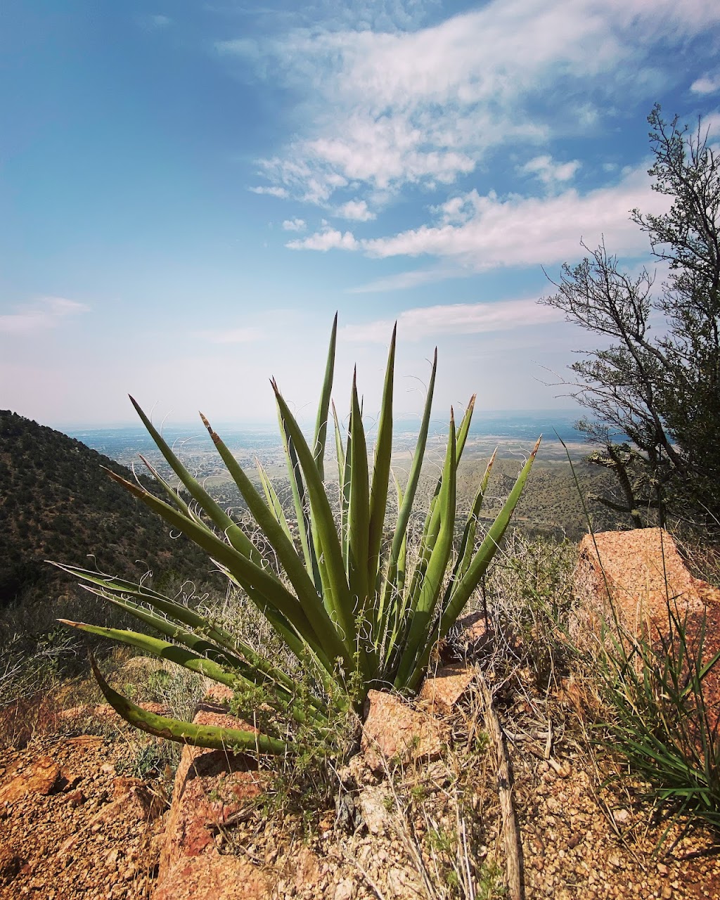 La Luz Trailhead | Forest Service 333 Rd, Albuquerque, NM 87122, USA | Phone: (505) 281-3304