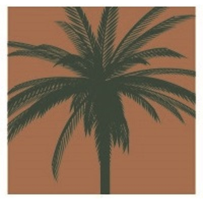 Palm Garden of Largo | 10500 Starkey Rd, Seminole, FL 33777, USA | Phone: (727) 397-8166