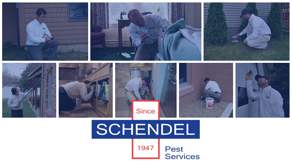 Schendel Pest Services | 1240 W San Pedro St, Gilbert, AZ 85233, USA | Phone: (480) 733-9177