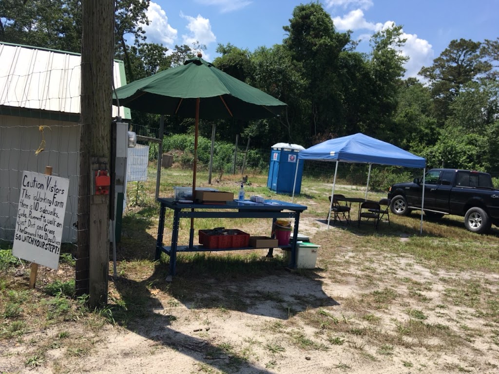 William J Poinsett Farm | 209 Columbus Ave, Browns Mills, NJ 08015, USA | Phone: (609) 744-5522