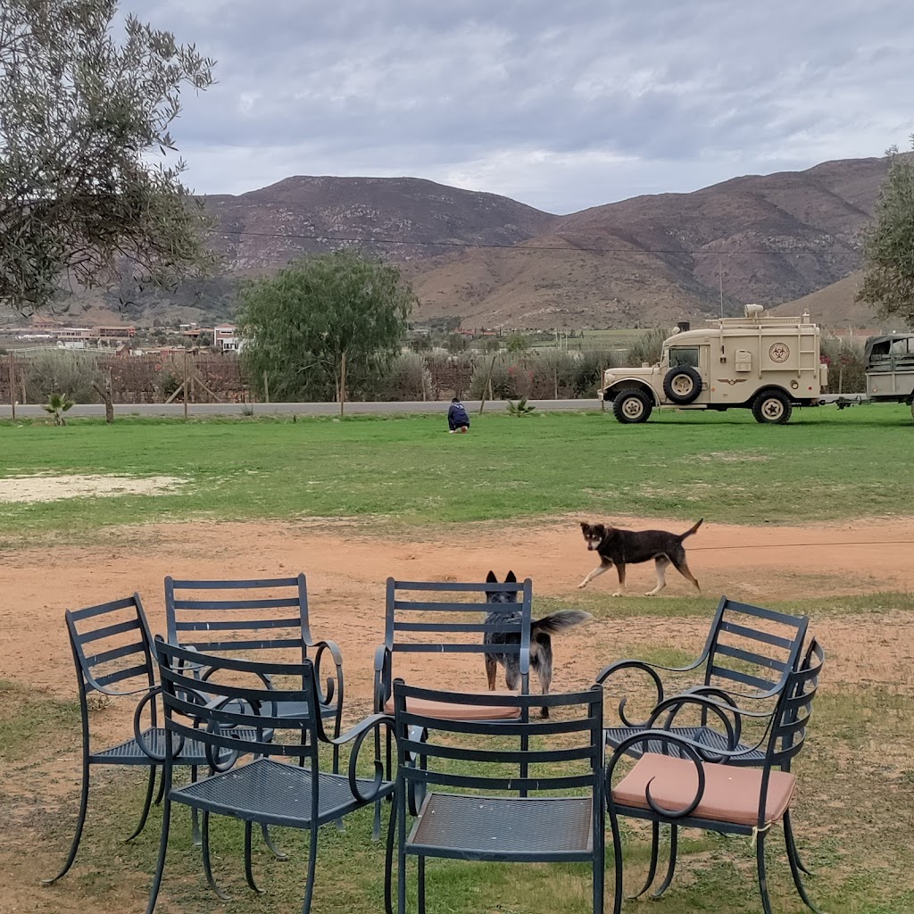 Viñas de Barro | Prol Paseo de los Heroes 13990, Alfonso Coronadel Rosal, 22104 Tijuana, B.C., Mexico | Phone: 664 204 6027