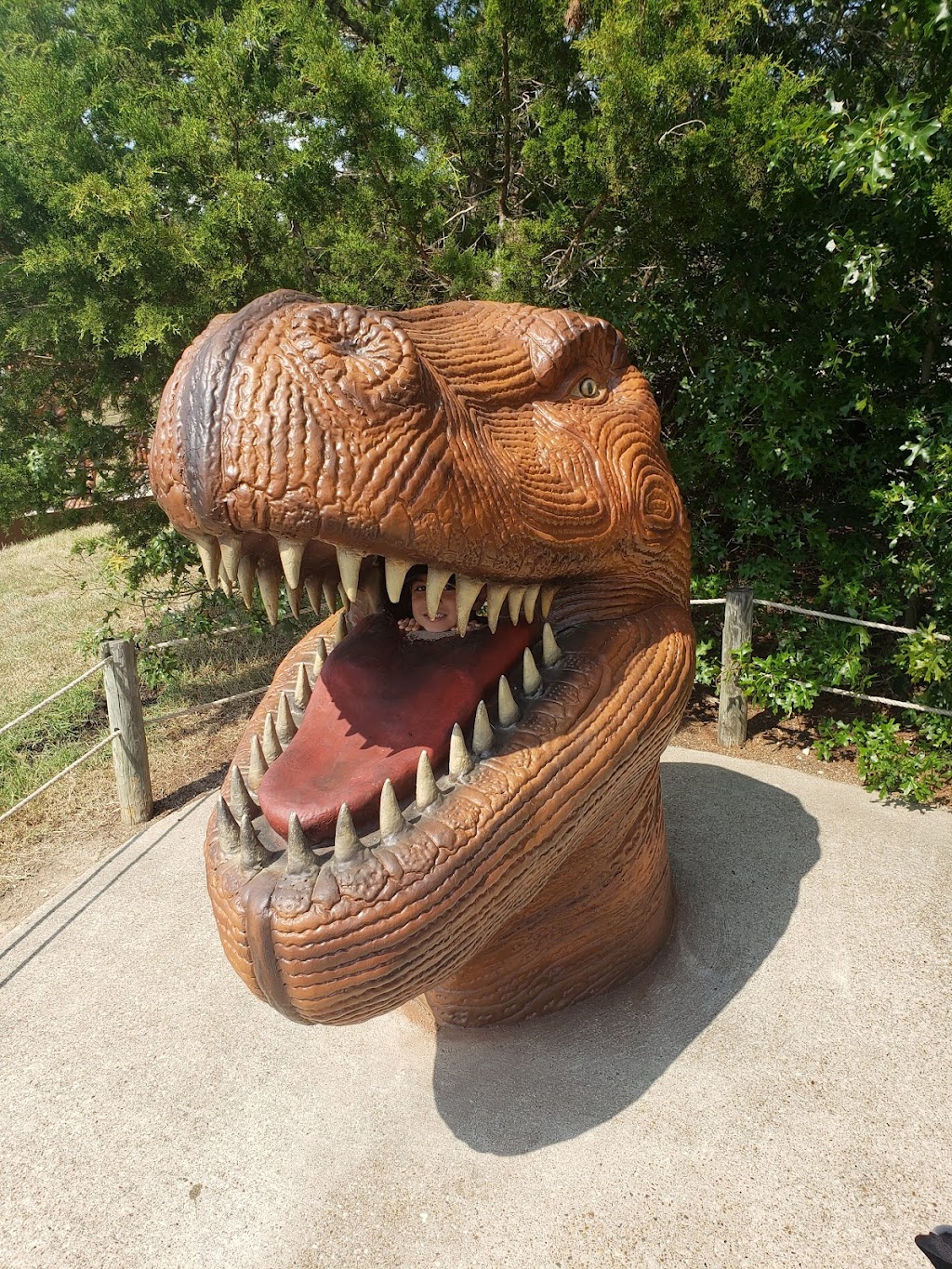 Dinosaur World | 1058 Park Rd 59, Glen Rose, TX 76043, USA | Phone: (254) 898-1526