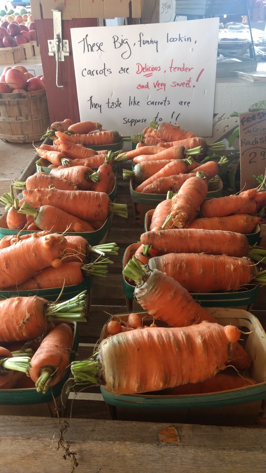 Gregs U-Pick Farm Market and CSA | 9270 Lapp Rd, Clarence Center, NY 14032, USA | Phone: (716) 741-4239