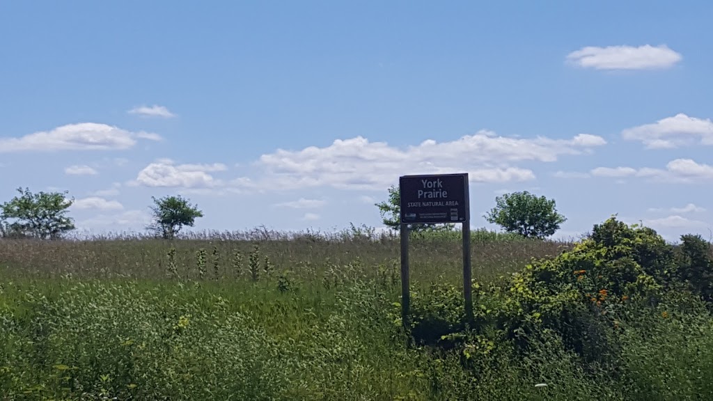 York Prairie State Natural Area | Blanchardville, WI 53516, USA | Phone: (888) 936-7463